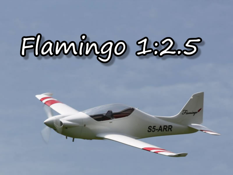 Fotogalerie Flamingo 1:2.5