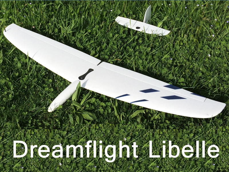 Libelle von DreamFlight
