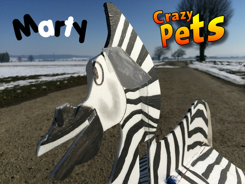 Eigenbau: RC-Zebra Marty