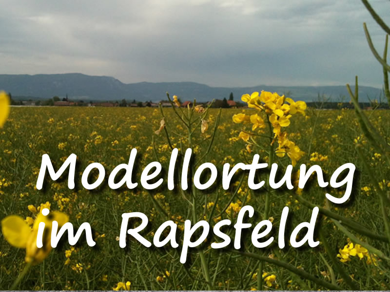 Modellortung im Rapsfeld